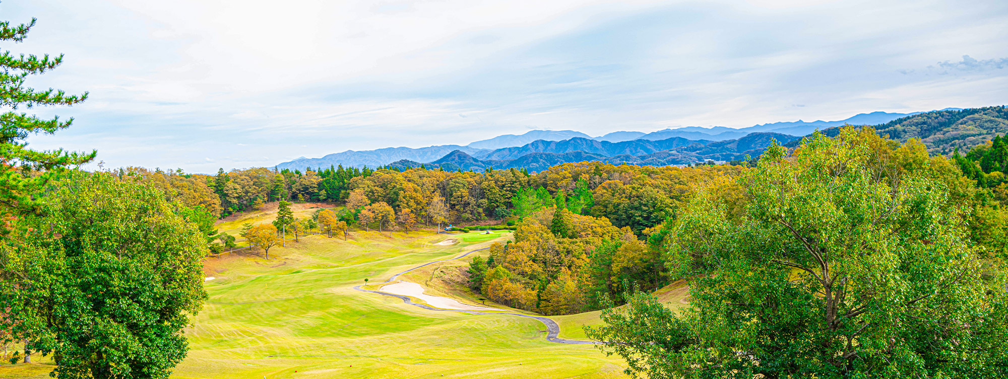 コースイメージ